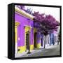 ¡Viva Mexico! Square Collection - Purple Facade in Oaxaca-Philippe Hugonnard-Framed Stretched Canvas