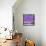 ¡Viva Mexico! Square Collection - Purple Papeleria-Philippe Hugonnard-Framed Stretched Canvas displayed on a wall