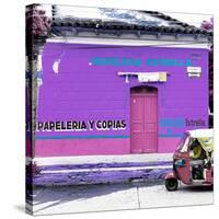 ¡Viva Mexico! Square Collection - Purple Papeleria-Philippe Hugonnard-Stretched Canvas