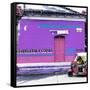 ¡Viva Mexico! Square Collection - Purple Papeleria-Philippe Hugonnard-Framed Stretched Canvas