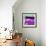 ¡Viva Mexico! Square Collection - Purple VW Beetle Car-Philippe Hugonnard-Framed Photographic Print displayed on a wall