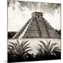 ¡Viva Mexico! Square Collection - Pyramid Chichen Itza IX-Philippe Hugonnard-Mounted Photographic Print