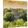 ¡Viva Mexico! Square Collection - Pyramid in Mayan City at Sunset of Calakmul-Philippe Hugonnard-Mounted Photographic Print