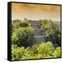 ¡Viva Mexico! Square Collection - Pyramid in Mayan City at Sunset of Calakmul-Philippe Hugonnard-Framed Stretched Canvas