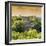 ¡Viva Mexico! Square Collection - Pyramid in Mayan City at Sunset of Calakmul-Philippe Hugonnard-Framed Photographic Print