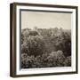 ¡Viva Mexico! Square Collection - Pyramid in Mayan City of Calakmul II-Philippe Hugonnard-Framed Premium Photographic Print