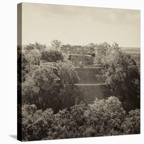 ¡Viva Mexico! Square Collection - Pyramid in Mayan City of Calakmul II-Philippe Hugonnard-Stretched Canvas