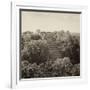 ¡Viva Mexico! Square Collection - Pyramid in Mayan City of Calakmul II-Philippe Hugonnard-Framed Photographic Print