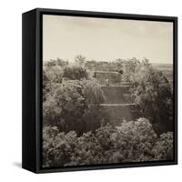 ¡Viva Mexico! Square Collection - Pyramid in Mayan City of Calakmul II-Philippe Hugonnard-Framed Stretched Canvas