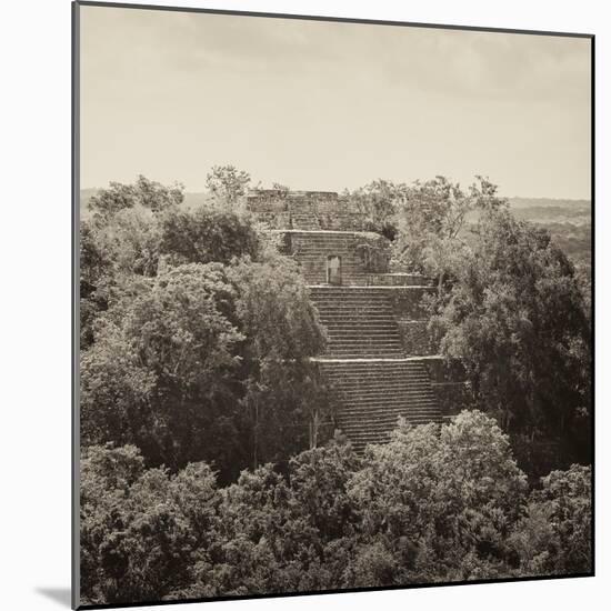 ¡Viva Mexico! Square Collection - Pyramid in Mayan City of Calakmul II-Philippe Hugonnard-Mounted Photographic Print