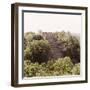 ¡Viva Mexico! Square Collection - Pyramid in Mayan City of Calakmul III-Philippe Hugonnard-Framed Photographic Print