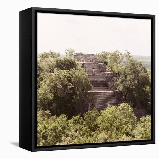 ¡Viva Mexico! Square Collection - Pyramid in Mayan City of Calakmul III-Philippe Hugonnard-Framed Stretched Canvas