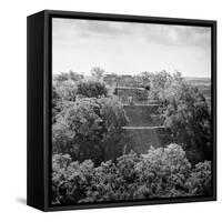 ¡Viva Mexico! Square Collection - Pyramid in Mayan City of Calakmul-Philippe Hugonnard-Framed Stretched Canvas