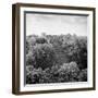 ¡Viva Mexico! Square Collection - Pyramid in Mayan City of Calakmul-Philippe Hugonnard-Framed Photographic Print