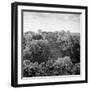 ¡Viva Mexico! Square Collection - Pyramid in Mayan City of Calakmul-Philippe Hugonnard-Framed Photographic Print