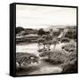 ¡Viva Mexico! Square Collection - Pyramid Maya of Monte Alban II-Philippe Hugonnard-Framed Stretched Canvas