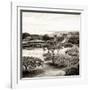 ¡Viva Mexico! Square Collection - Pyramid Maya of Monte Alban II-Philippe Hugonnard-Framed Photographic Print