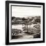 ¡Viva Mexico! Square Collection - Pyramid Maya of Monte Alban II-Philippe Hugonnard-Framed Photographic Print