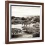 ¡Viva Mexico! Square Collection - Pyramid Maya of Monte Alban II-Philippe Hugonnard-Framed Photographic Print