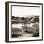 ¡Viva Mexico! Square Collection - Pyramid Maya of Monte Alban II-Philippe Hugonnard-Framed Photographic Print