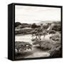 ¡Viva Mexico! Square Collection - Pyramid Maya of Monte Alban II-Philippe Hugonnard-Framed Stretched Canvas