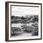 ¡Viva Mexico! Square Collection - Pyramid Maya of Monte Alban III-Philippe Hugonnard-Framed Photographic Print
