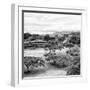¡Viva Mexico! Square Collection - Pyramid Maya of Monte Alban III-Philippe Hugonnard-Framed Photographic Print