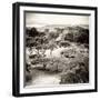 ¡Viva Mexico! Square Collection - Pyramid Maya of Monte Alban V-Philippe Hugonnard-Framed Photographic Print