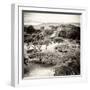 ¡Viva Mexico! Square Collection - Pyramid Maya of Monte Alban V-Philippe Hugonnard-Framed Photographic Print