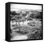 ¡Viva Mexico! Square Collection - Pyramid Maya of Monte Alban VI-Philippe Hugonnard-Framed Stretched Canvas