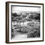¡Viva Mexico! Square Collection - Pyramid Maya of Monte Alban VI-Philippe Hugonnard-Framed Photographic Print