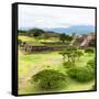 ¡Viva Mexico! Square Collection - Pyramid Maya of Monte Alban VII-Philippe Hugonnard-Framed Stretched Canvas