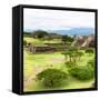 ¡Viva Mexico! Square Collection - Pyramid Maya of Monte Alban VII-Philippe Hugonnard-Framed Stretched Canvas