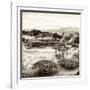 ¡Viva Mexico! Square Collection - Pyramid Maya of Monte Alban VIII-Philippe Hugonnard-Framed Photographic Print