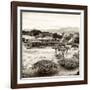 ¡Viva Mexico! Square Collection - Pyramid Maya of Monte Alban VIII-Philippe Hugonnard-Framed Photographic Print