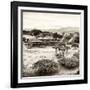 ¡Viva Mexico! Square Collection - Pyramid Maya of Monte Alban VIII-Philippe Hugonnard-Framed Photographic Print