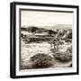 ¡Viva Mexico! Square Collection - Pyramid Maya of Monte Alban VIII-Philippe Hugonnard-Framed Photographic Print