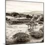 ¡Viva Mexico! Square Collection - Pyramid Maya of Monte Alban VIII-Philippe Hugonnard-Mounted Photographic Print