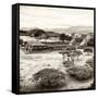 ¡Viva Mexico! Square Collection - Pyramid Maya of Monte Alban VIII-Philippe Hugonnard-Framed Stretched Canvas