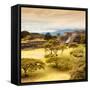 ¡Viva Mexico! Square Collection - Pyramid Maya of Monte Alban with Fall Colors III-Philippe Hugonnard-Framed Stretched Canvas