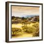 ¡Viva Mexico! Square Collection - Pyramid Maya of Monte Alban with Fall Colors III-Philippe Hugonnard-Framed Photographic Print