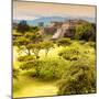 ¡Viva Mexico! Square Collection - Pyramid Maya of Monte Alban with Fall Colors IV-Philippe Hugonnard-Mounted Photographic Print