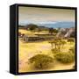 ¡Viva Mexico! Square Collection - Pyramid Maya of Monte Alban with Fall Colors V-Philippe Hugonnard-Framed Stretched Canvas
