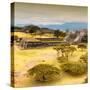 ¡Viva Mexico! Square Collection - Pyramid Maya of Monte Alban with Fall Colors V-Philippe Hugonnard-Stretched Canvas