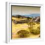 ¡Viva Mexico! Square Collection - Pyramid Maya of Monte Alban with Fall Colors V-Philippe Hugonnard-Framed Photographic Print