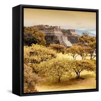 ¡Viva Mexico! Square Collection - Pyramid Maya of Monte Alban with Fall Colors-Philippe Hugonnard-Framed Stretched Canvas