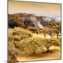 ¡Viva Mexico! Square Collection - Pyramid Maya of Monte Alban with Fall Colors-Philippe Hugonnard-Mounted Photographic Print