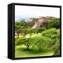 ¡Viva Mexico! Square Collection - Pyramid Maya of Monte Alban-Philippe Hugonnard-Framed Stretched Canvas