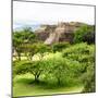 ¡Viva Mexico! Square Collection - Pyramid Maya of Monte Alban-Philippe Hugonnard-Mounted Photographic Print