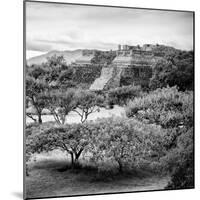 ¡Viva Mexico! Square Collection - Pyramid Maya of Monte Alban-Philippe Hugonnard-Mounted Photographic Print